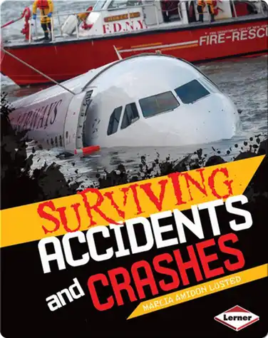 Surviving Accidents and Crashes book