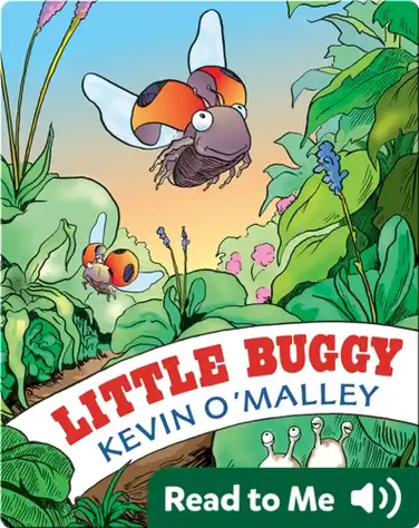 Little Buggy book