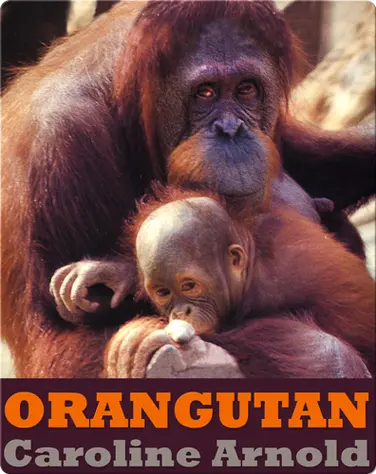 Orangutan book