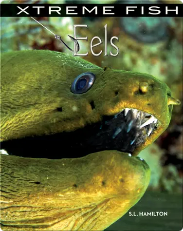 Xtreme Fish: Eels book
