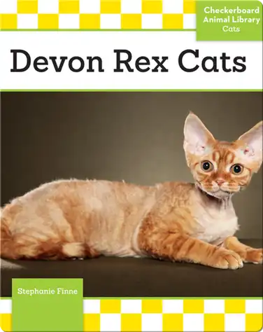 Devon Rex Cats book