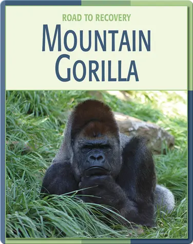 Road To Recovery: Mountain Gorilla book