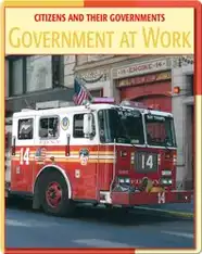 Citizens And Their Governments: Government At Work