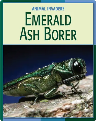 Animal Invaders: Emerald Ash Borer book