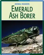 Animal Invaders: Emerald Ash Borer