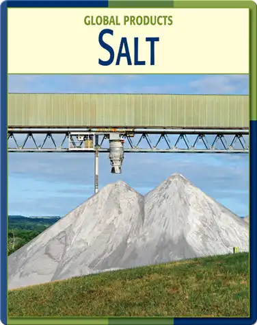 Global Products: Salt book