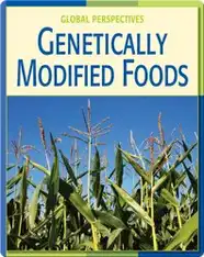 Global Perspectives: Genetically Modified Foods
