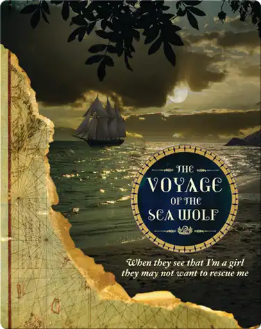 The Voyage of the Sea Wolf book