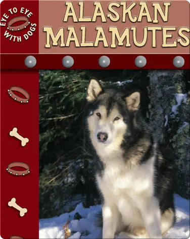 Eye To Eye With Dogs: Alaskan Malamutes book