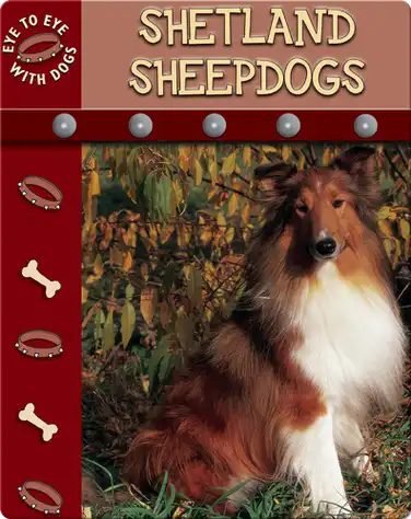 Eye To Eye With Dogs: Shetland Sheepdogs book