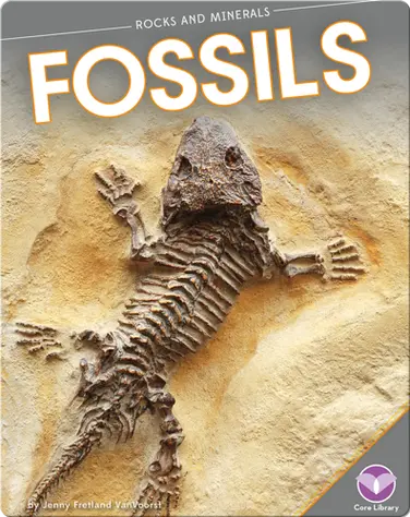 Rocks and Minerals: Fossils book