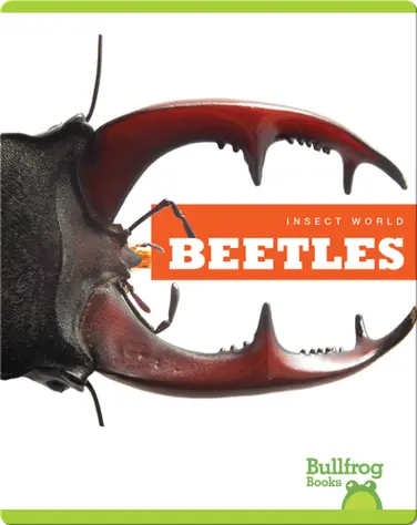 Insect World: Beetles book