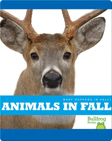 What Happens In Fall? Animals In Fall book