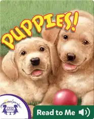 Puppies!