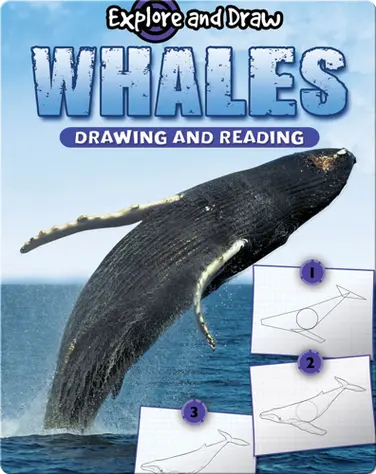 Explore And Draw: Whales book