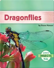 Dragonflies