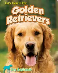 Let's Hear It For Golden Retrievers
