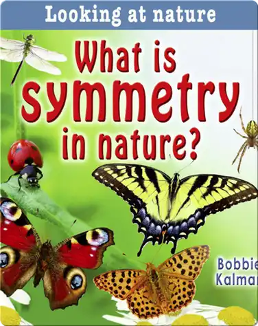 What Is Symmetry In Nature? book