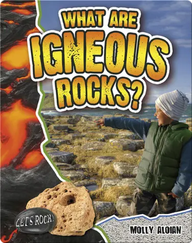 What Are Igneous Rocks? book