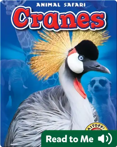 Cranes: Animal Safari book