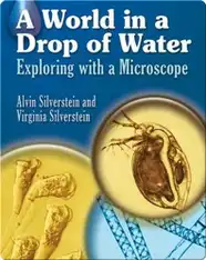 A World in a Drop of Water: Exploring with a Microscope