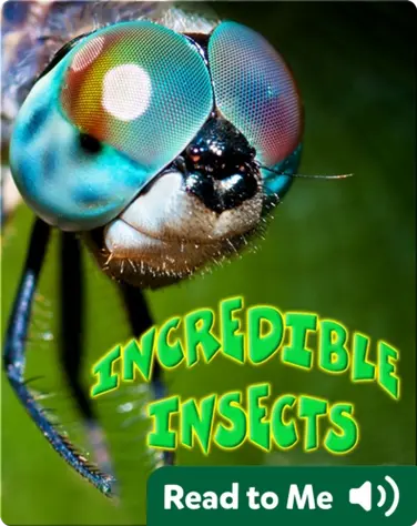 Incredible Insects book