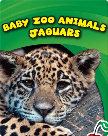 Baby Zoo Animals: Jaguars book