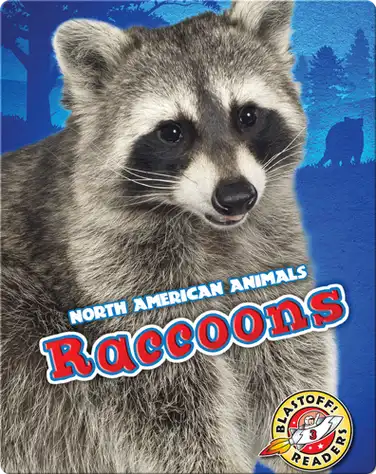 North American Animals: Raccoons book