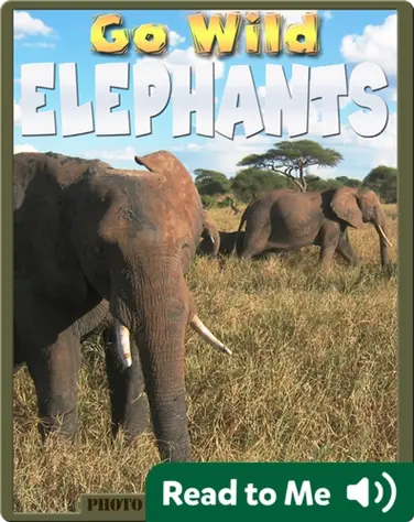 Go Wild Elephants book