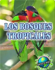 Los bosques tropicales