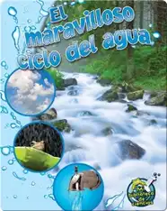 El maravilloso ciclo del agua