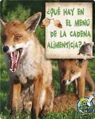 ¿Qué Hay En El Menú De La Cadena Alimenticia? (What's On The Food Chain Menu?)