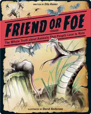 Friend or Foe