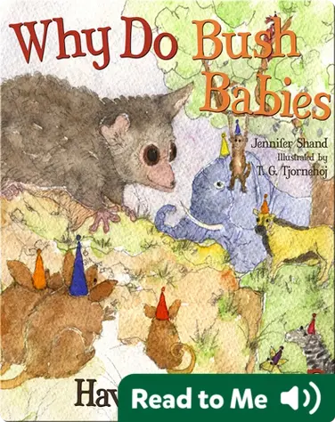 Why Do Bush Babies Have Huge Eyes? book