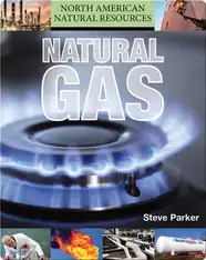 Natural Gas