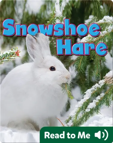 Snowshoe Hare book