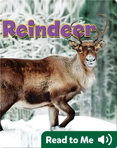 Reindeer book