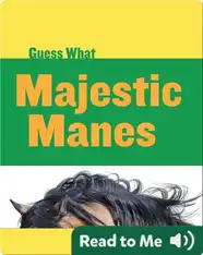 Majestic Manes