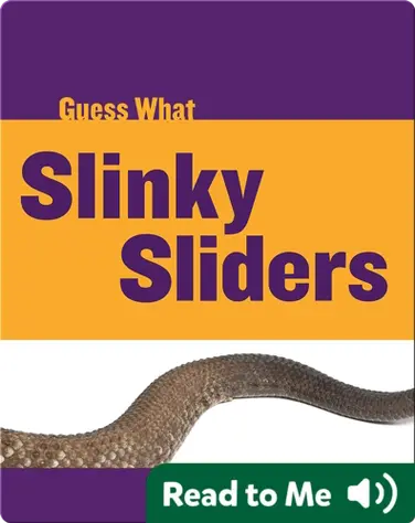 Slinky Sliders book