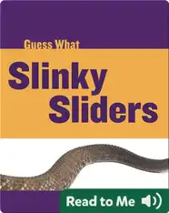 Slinky Sliders