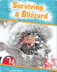 Surviving a Blizzard