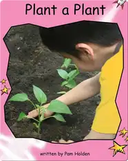 Plant a Plant