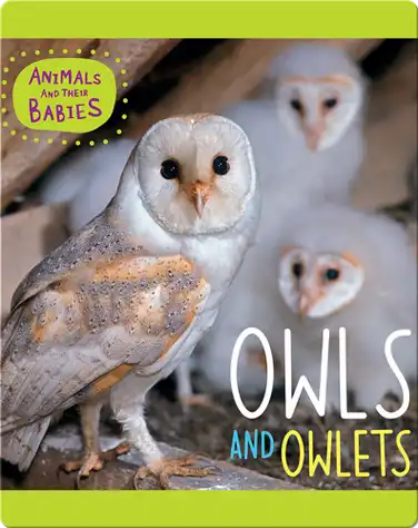 Owls and Owlets book