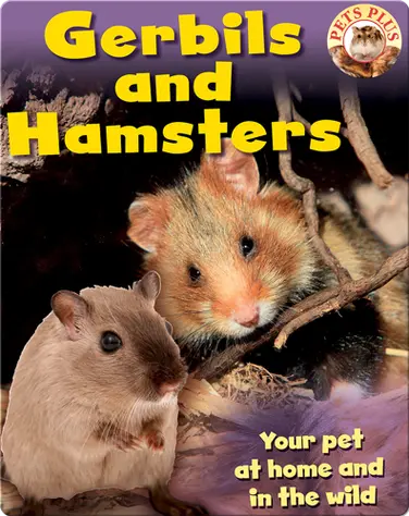 Gerbils and Hamsters book
