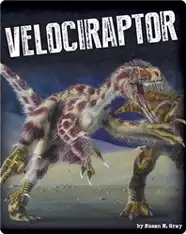 Velociraptor