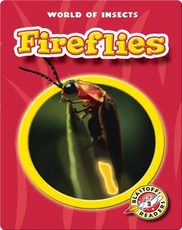 World of Insects: Fireflies book