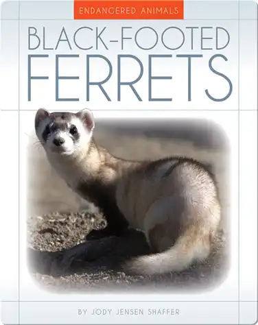 Black Footed Ferrets book