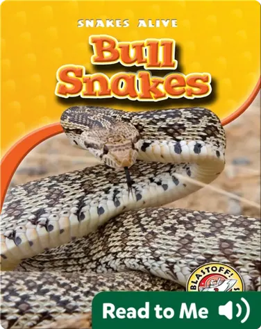 Bull Snakes book