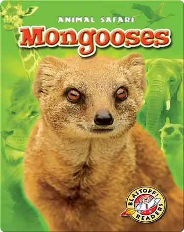 Mongooses book