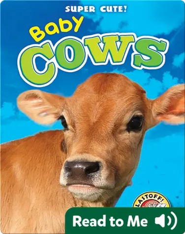 Super Cute! Baby Cows book